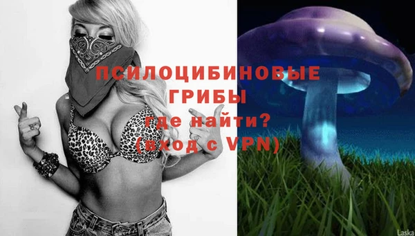 твердый Алзамай