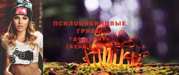 молекула духа Алексеевка